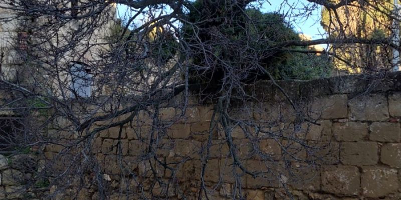 WhatsApp Image 2026 02 12 at 09.25.49