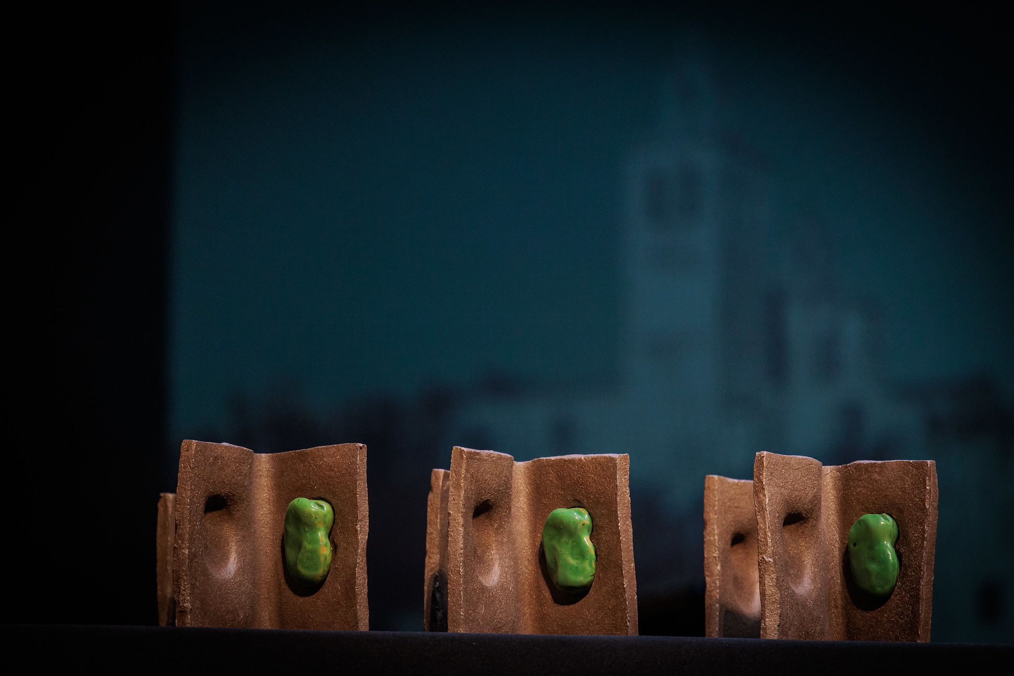 La fava de Sant Medir és la protagonista dels guardons dels premis FOTO: Ajuntament