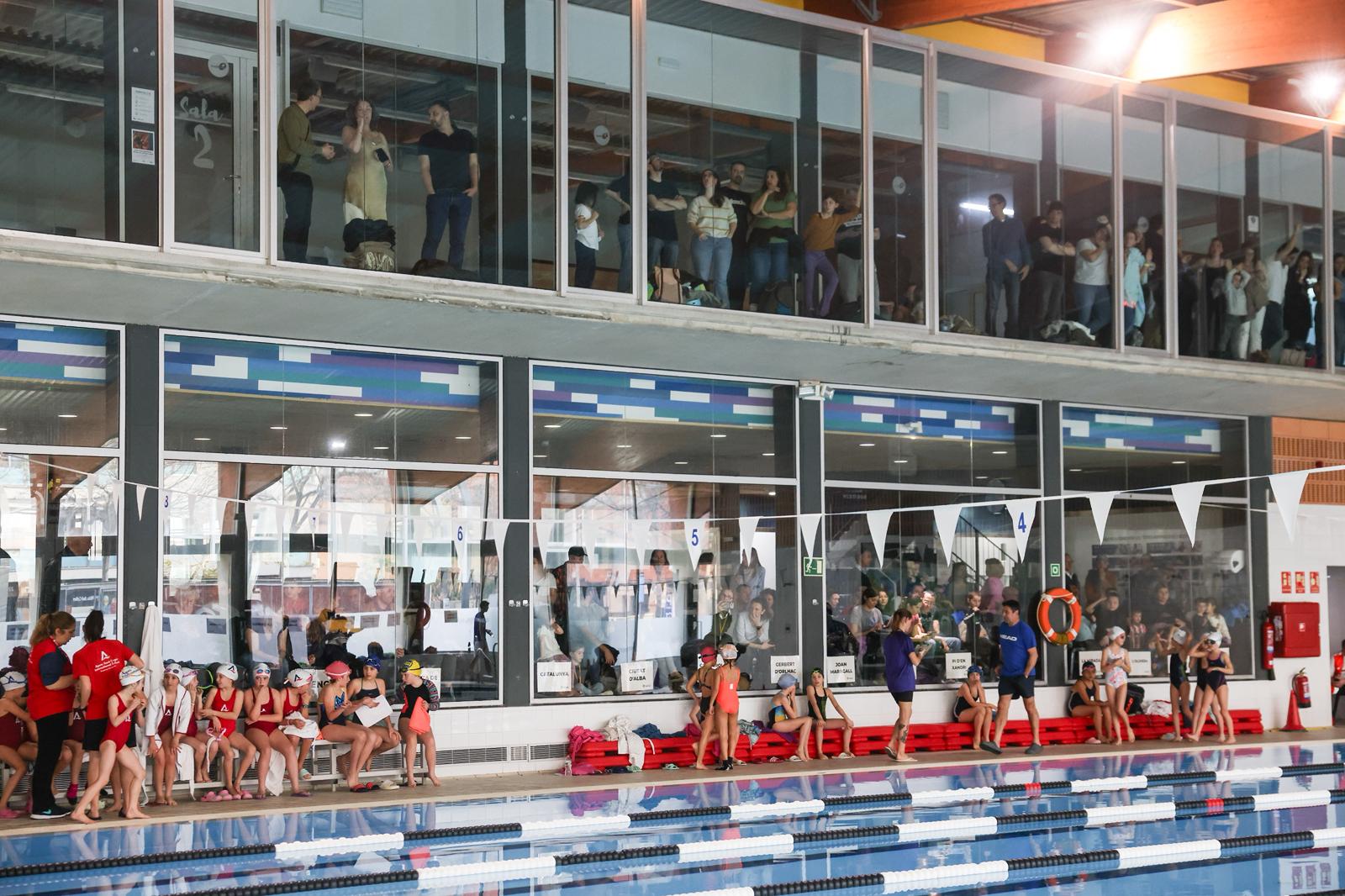 26è Campionat de Natació Escolar de Sant Cugat. FOTO: Ajuntament