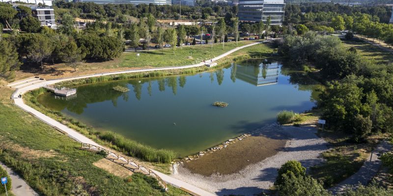 . Després de la seva recent naturalització, aquest espai s’ha convertit en un punt d’alt interès per a la biodiversitat FOTO: Mané Espinosa