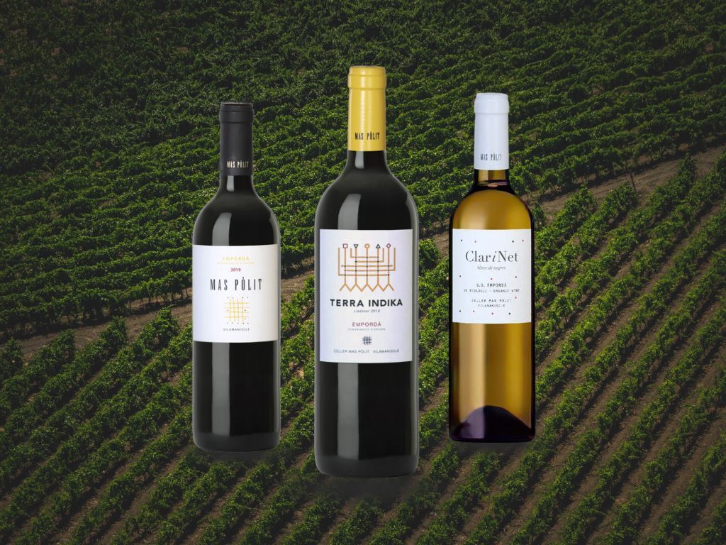 El Mas Pòlit negre 2022, el Terra Indika 2025 i el Clar-i-Net blanc 2025 elaborats pel Celler Mas Pòlit FOTO: Cedida