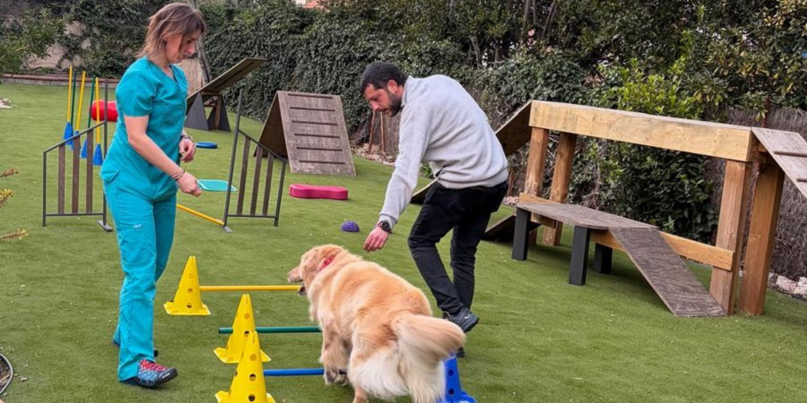 Veterium, especialistes en rehabilitació i fisioteràpia  i unitat del dolor per a animals a Sant Cugat. FOTO: Cedida