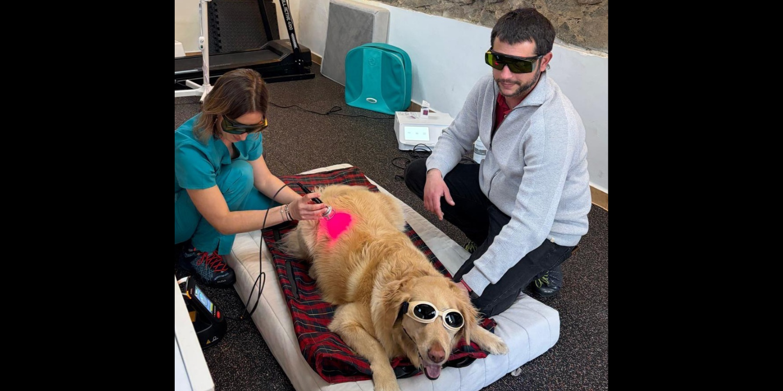 Veterium, especialistes en rehabilitació i fisioteràpia  i unitat del dolor per a animals a Sant Cugat. FOTO: Cedida