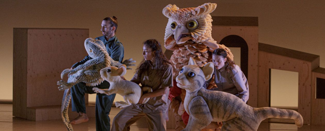 Un moment de l'espectacle 'La gata, el mussol, el llangardaix i el ratolí' FOTO: Cedida