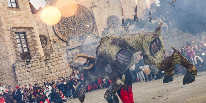 WhatsApp Image 2026 03 03 at 14.34.17