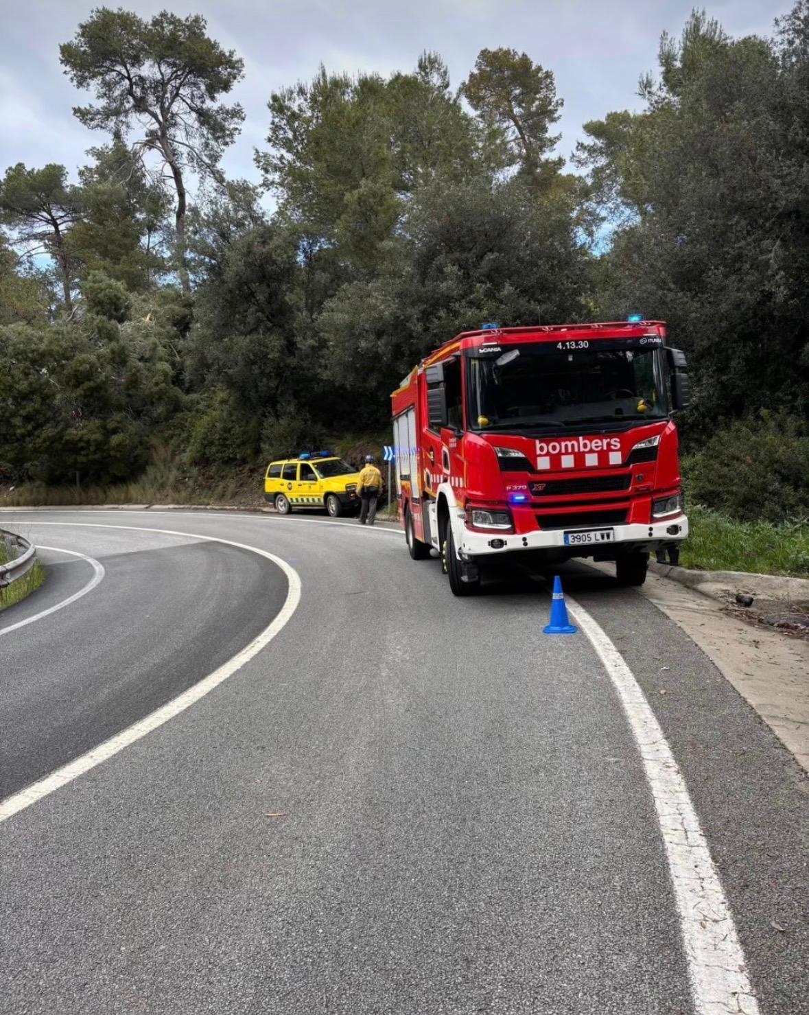 Arbre caigut a la carretera de l'Arrabassada. FOTO: Cedida.