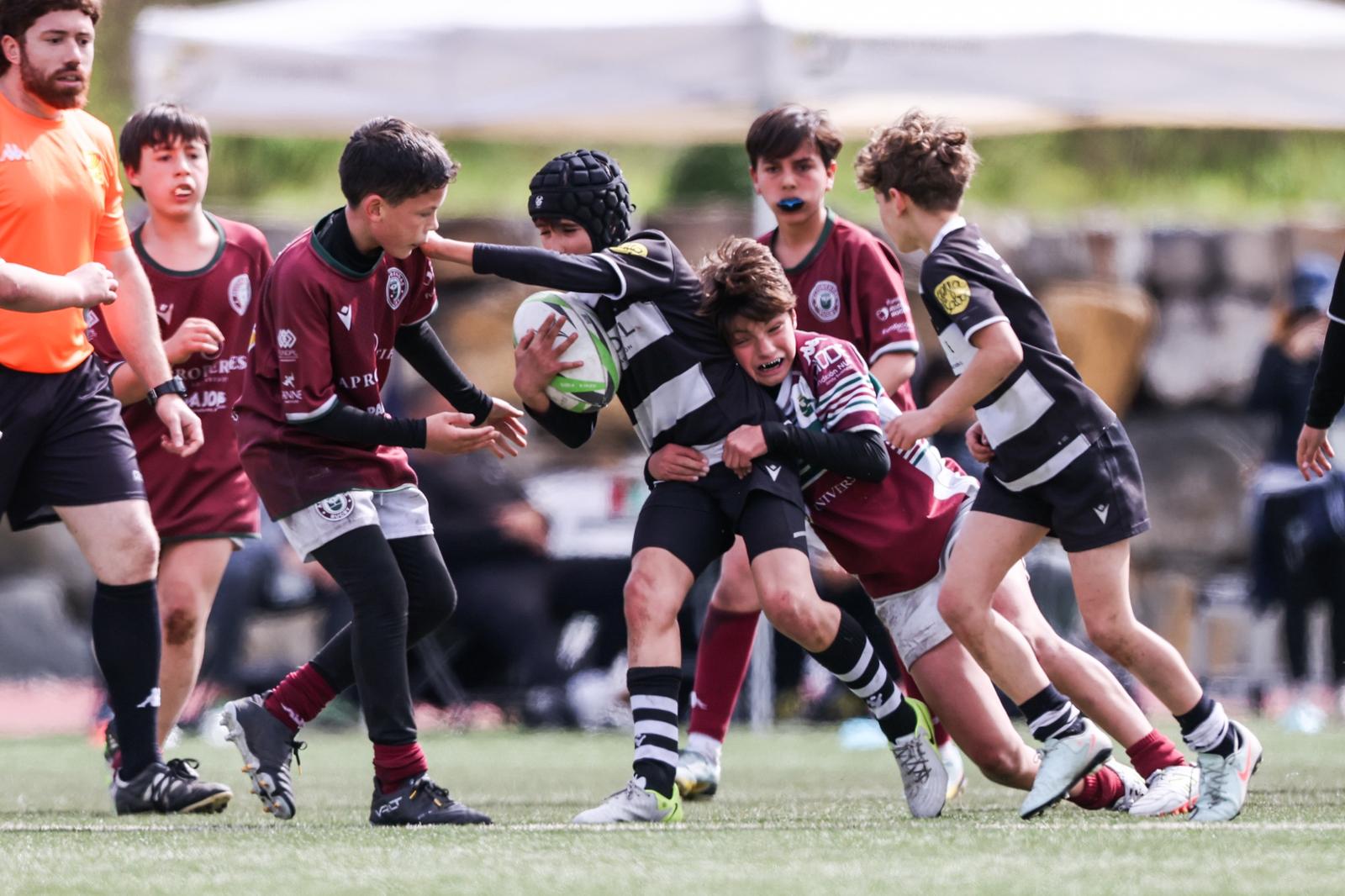 El Club de Rugby Sant Cugat ha organitzat l’11è Torneig Jon Reca FOTO: Ajuntament