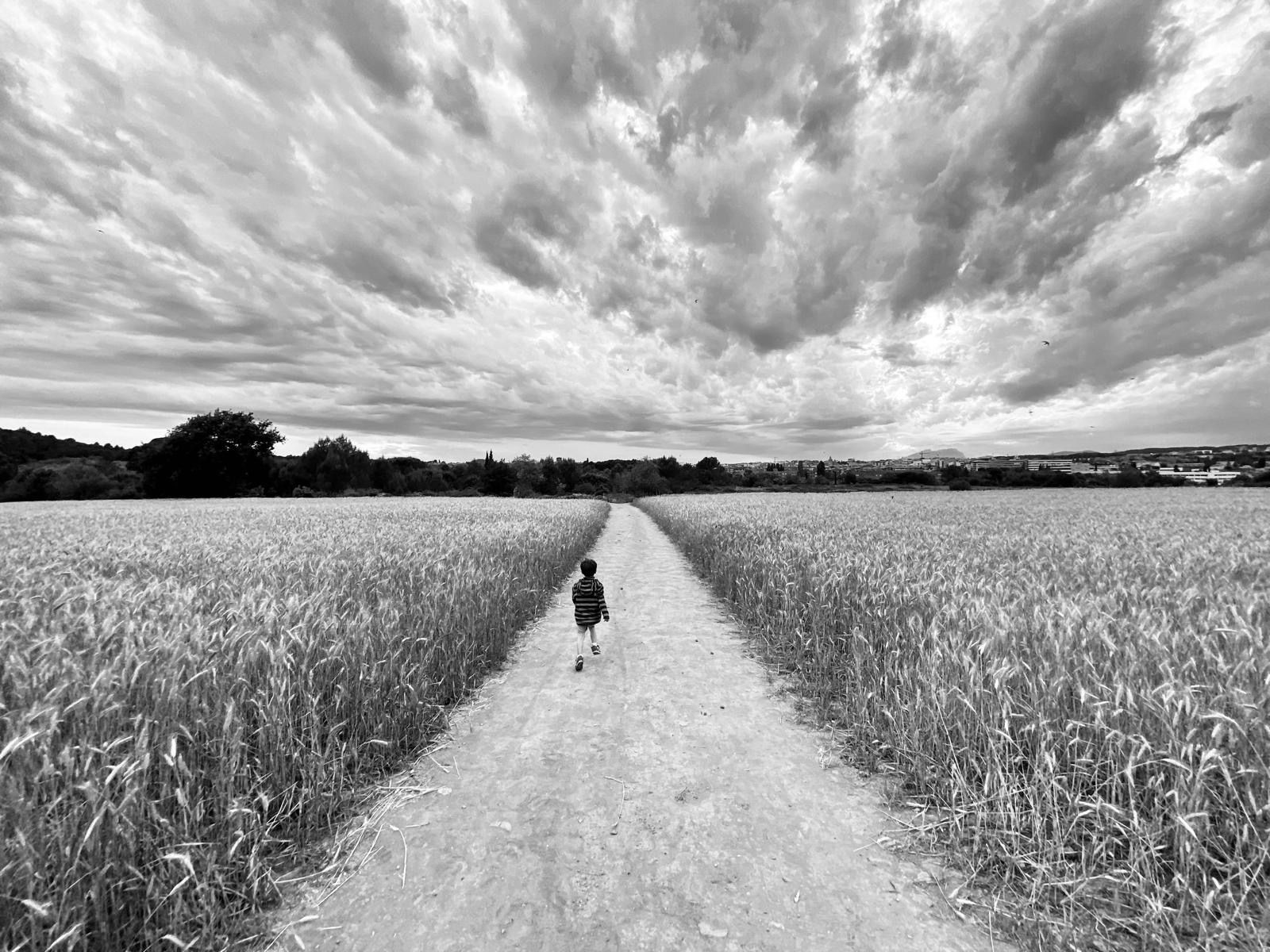 Fotografia de Lucas P. titulada 'Passejant per Collserola', que va participar en el primer concurs. FOTO: Cedida