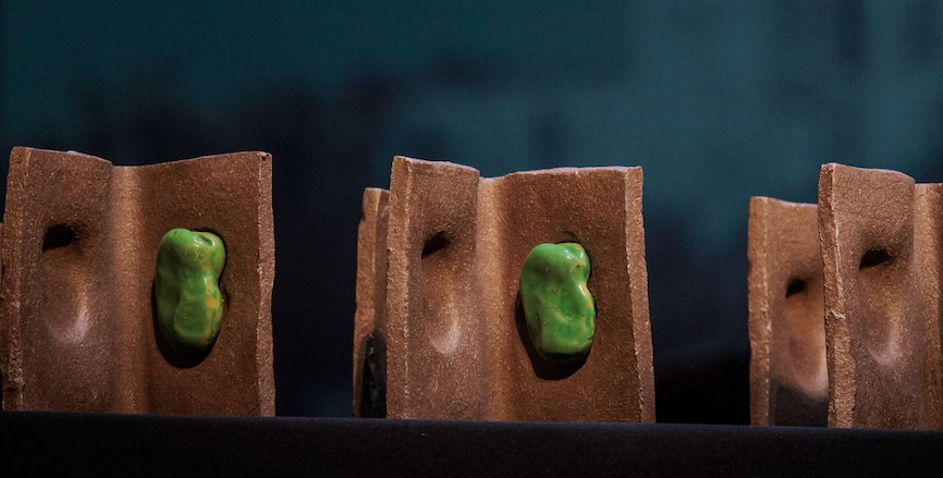 La fava de Sant Medir és la protagonista dels guardons dels premis FOTO: Ajuntament