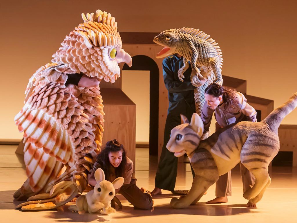 dansa la gata que volia canviar la historia