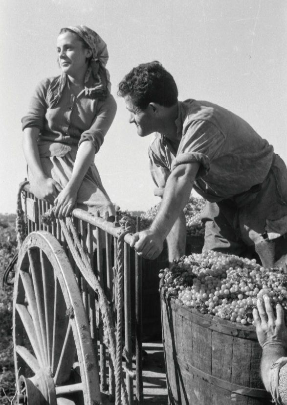 La Capsa Vermella d'Antoni Campañà. Foto de guerra, art i Sant Cugat FOTO: Cedida