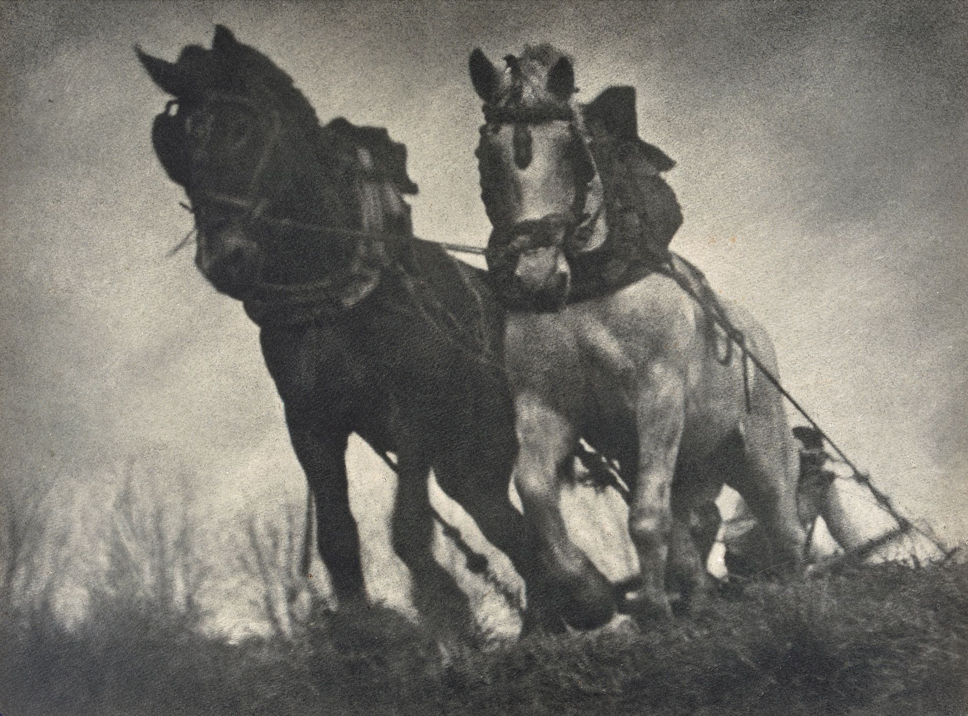 Tracció sang CAMPAÑÀ 1933