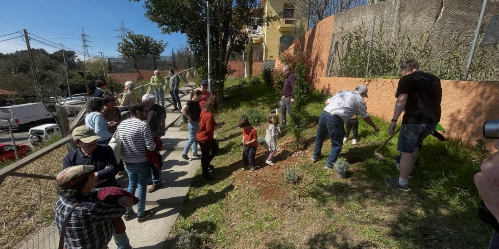 Festa de l'arbre de Valldoreix. FOTO: EMD Valldoreix