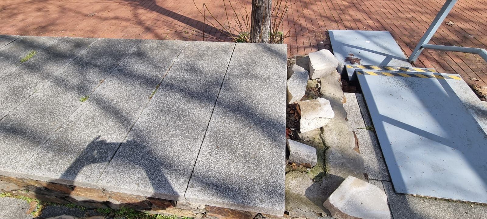 Invasió del Parc central FOTO: Cedida