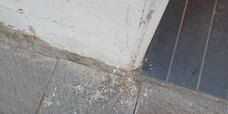 Mal estat del carrer Santiago Rusiñol FOTO: Cedida