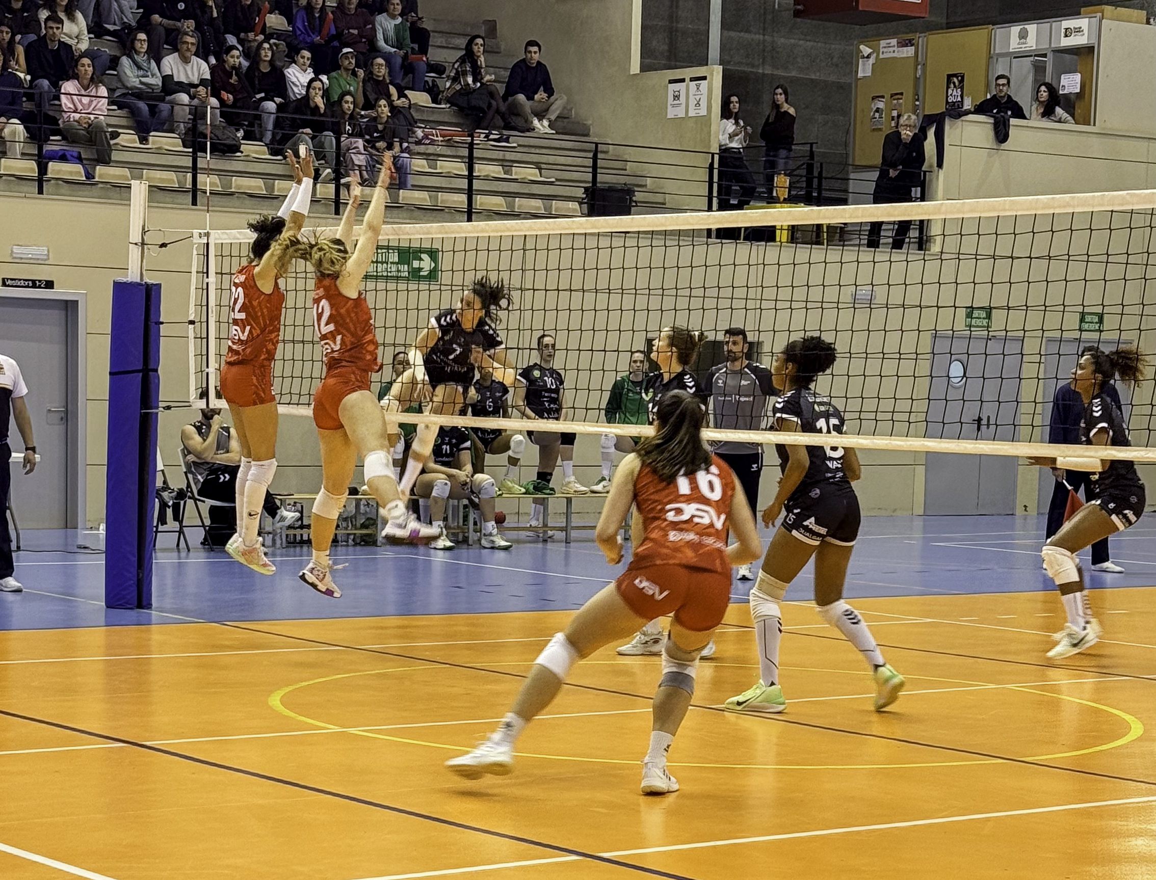 Imatge del primer partit entre el DSV Club Voleibol Sant Cugat i el Fundación Cajasol Andalucía. FOTO: DSV Club Voleibol Sant Cugat