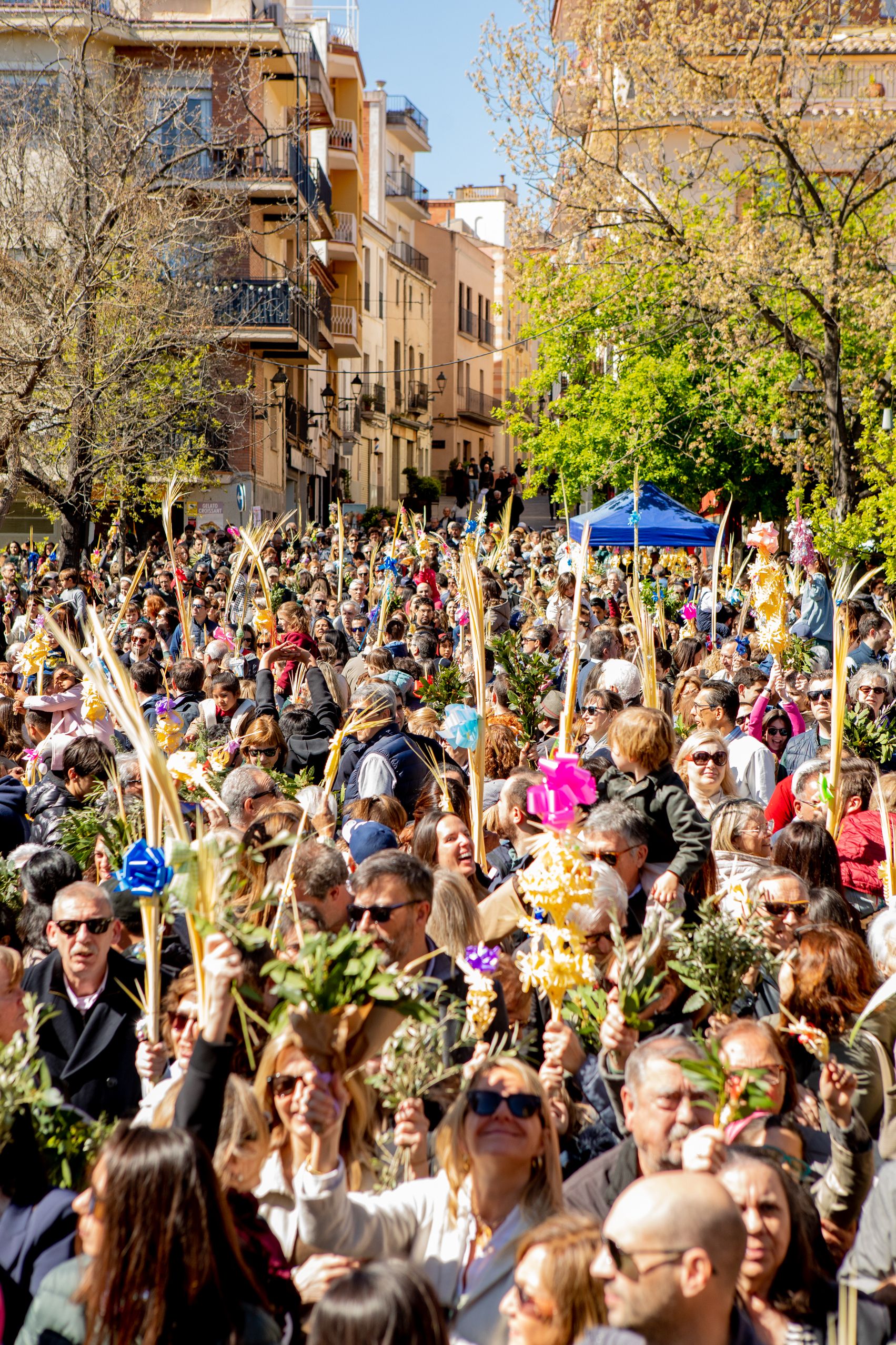 Sant Cugat s'omple de gom a gom per celebrar el Diumenge de Rams. Joana Arribas (TOT Sant Cugat)