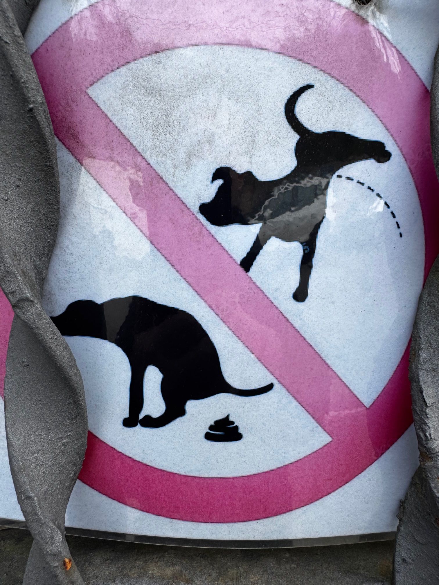 Queixa pels excrements dels animals. FOTO: Cedida