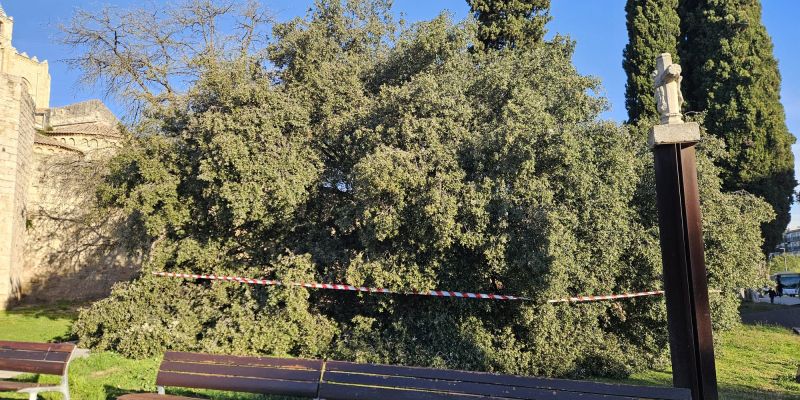 WhatsApp Image 2026 03 30 at 09.07.22 (1)