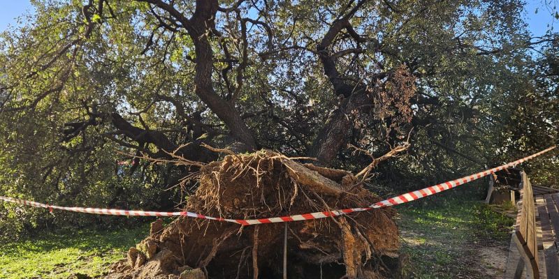 WhatsApp Image 2026 03 30 at 09.07.22 (2)