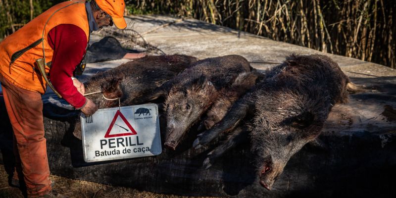 7c11d6e0 1c10 48e1 b451 ac1f60304ef2