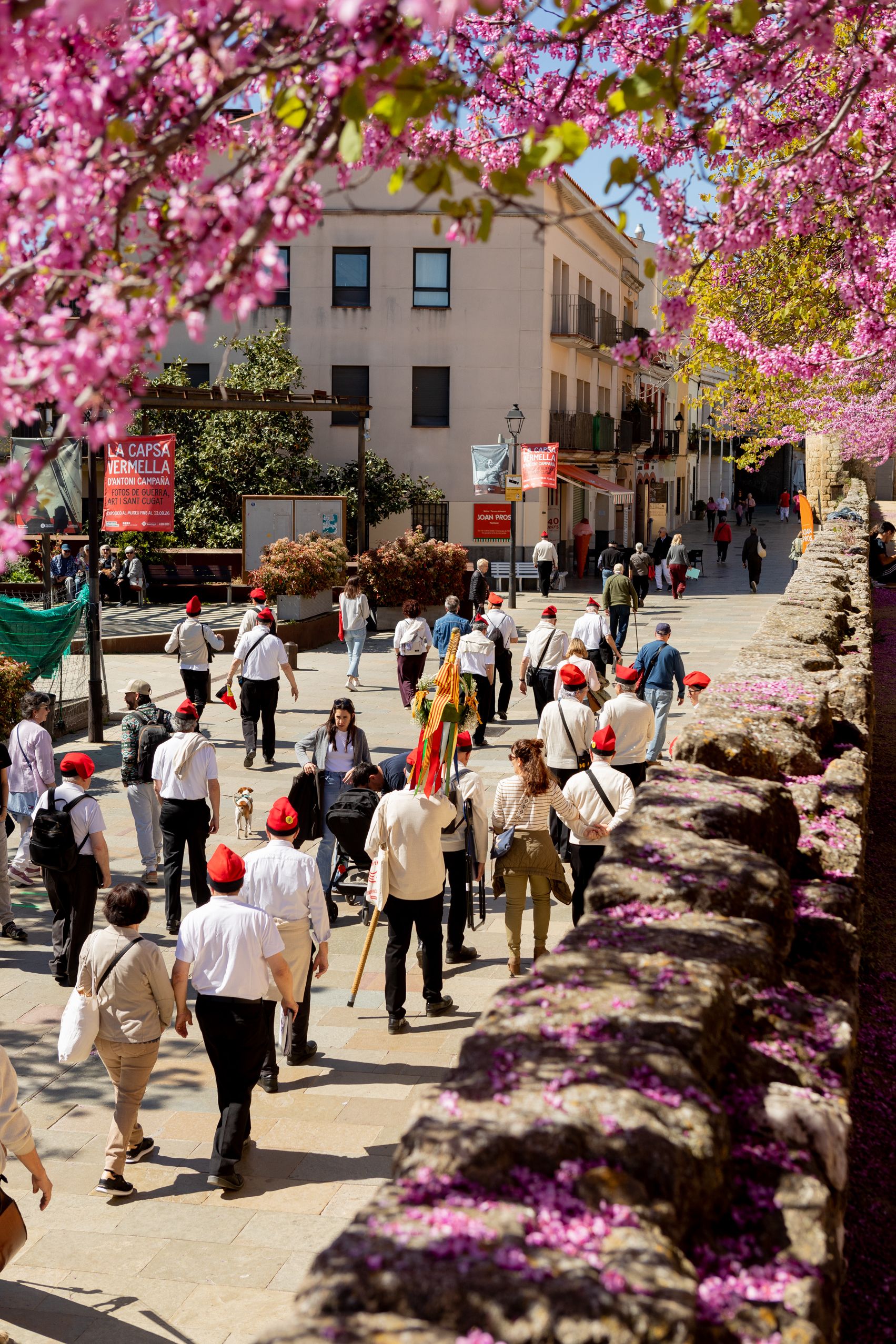 Caramelles de Diumenge de Pasqua. FOTO: Joana Arribas
