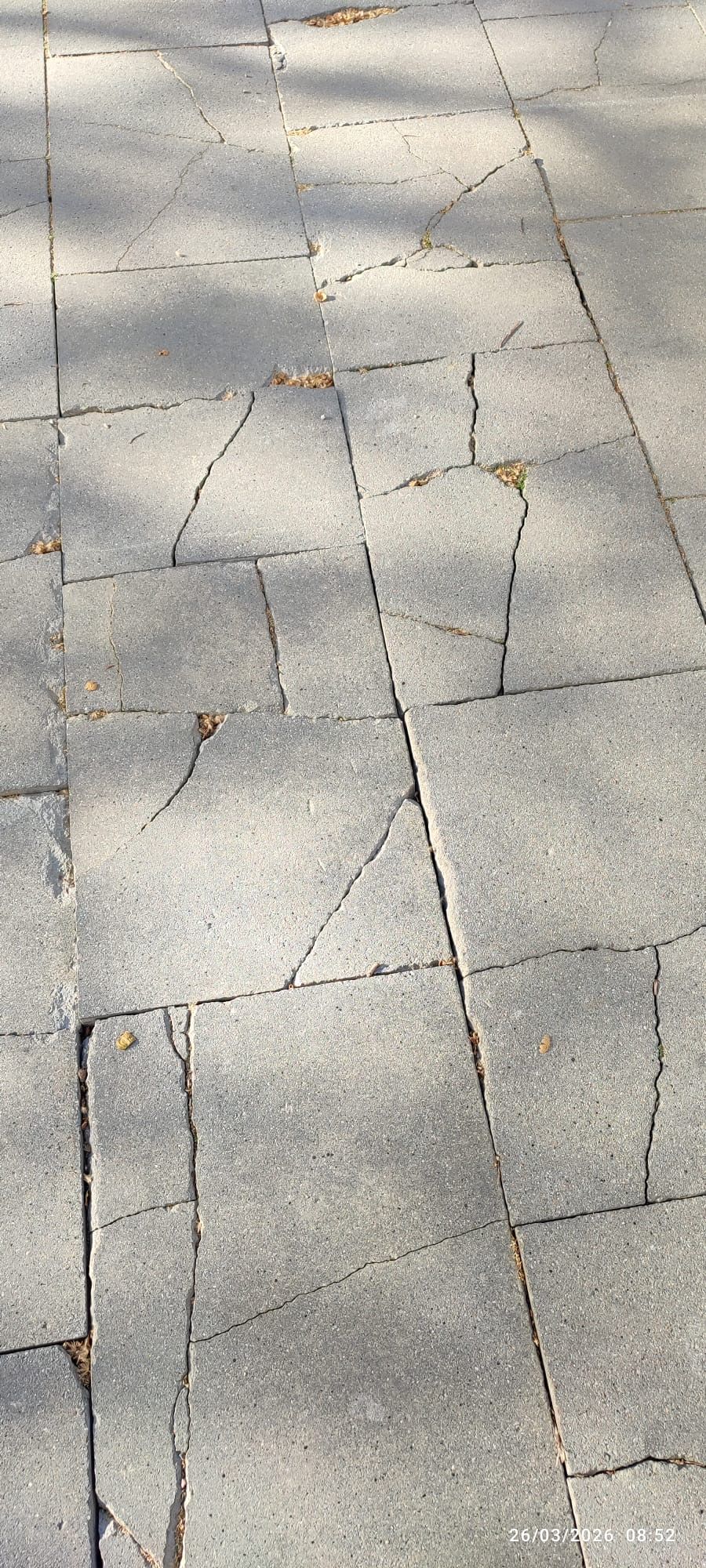 Rajoles trencades al Cap can Mates FOTO: Cedida