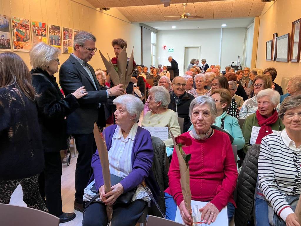 sant jordi llar davis