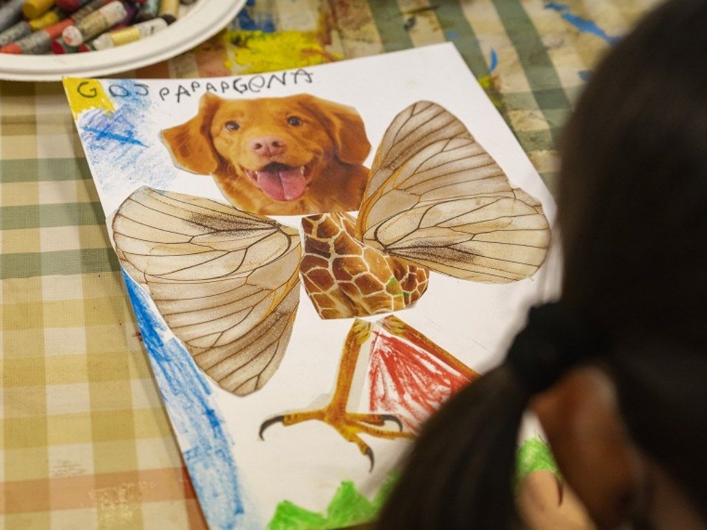 crea el teu animal fantastic de mariana castel