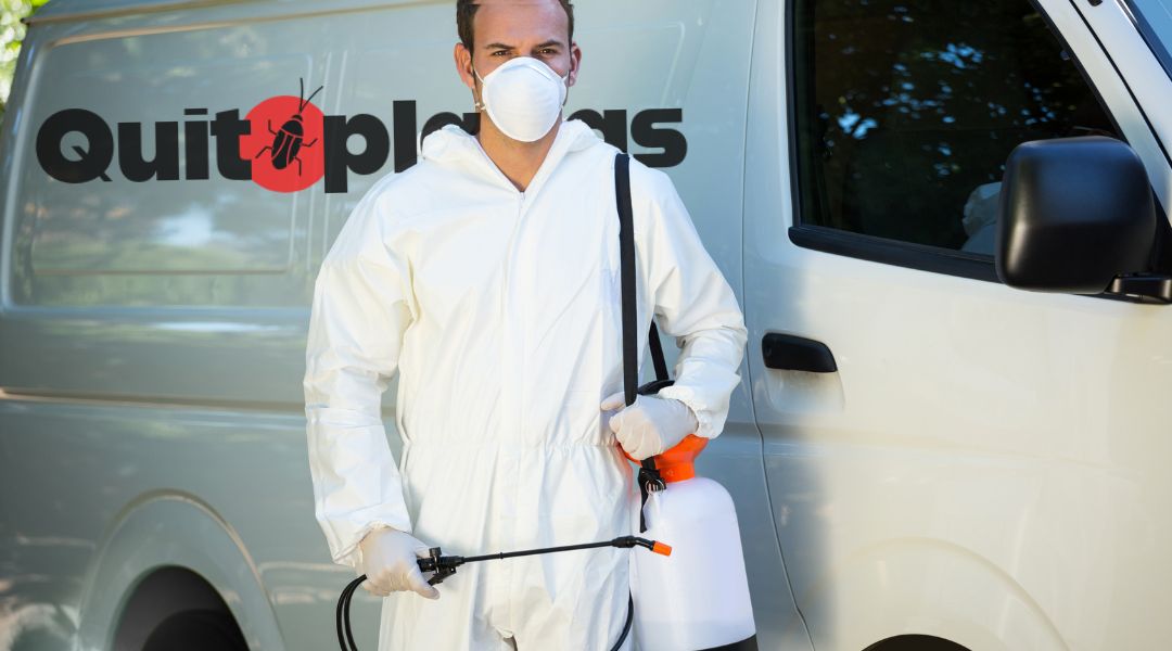 Control de plagues a Barcelona. FOTO: Cedida