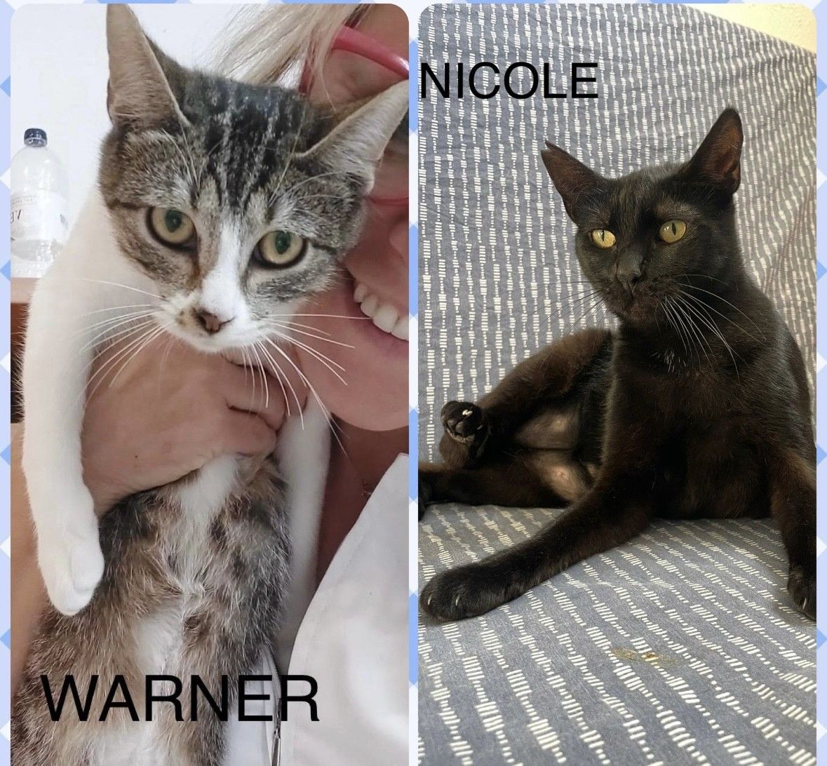 ANIMALS Warner Nicole