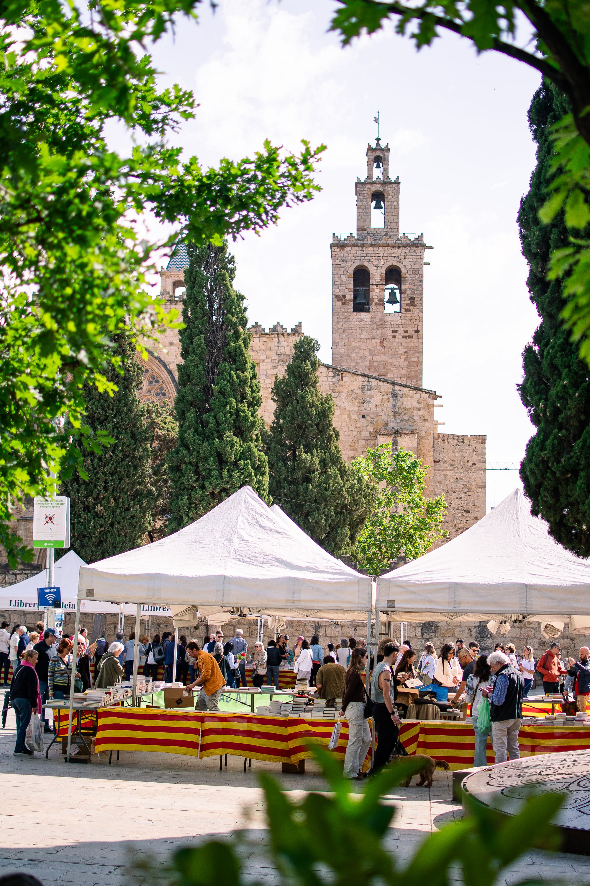 Sant Jordi 2026 a Sant Cugat. FOTO: Pol Rodríguez