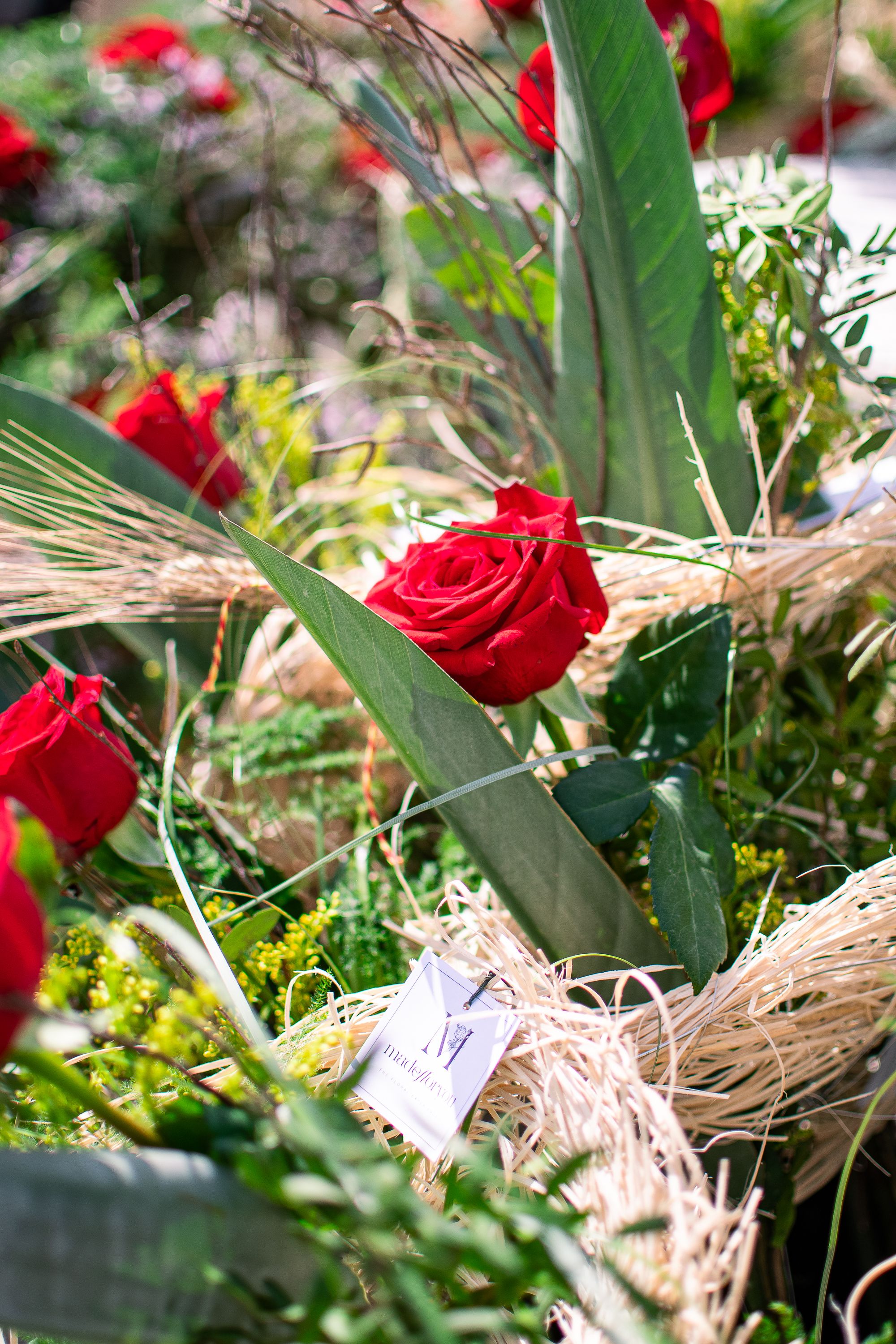 Sant Jordi 2026 a Sant Cugat. FOTO: Pol Rodríguez