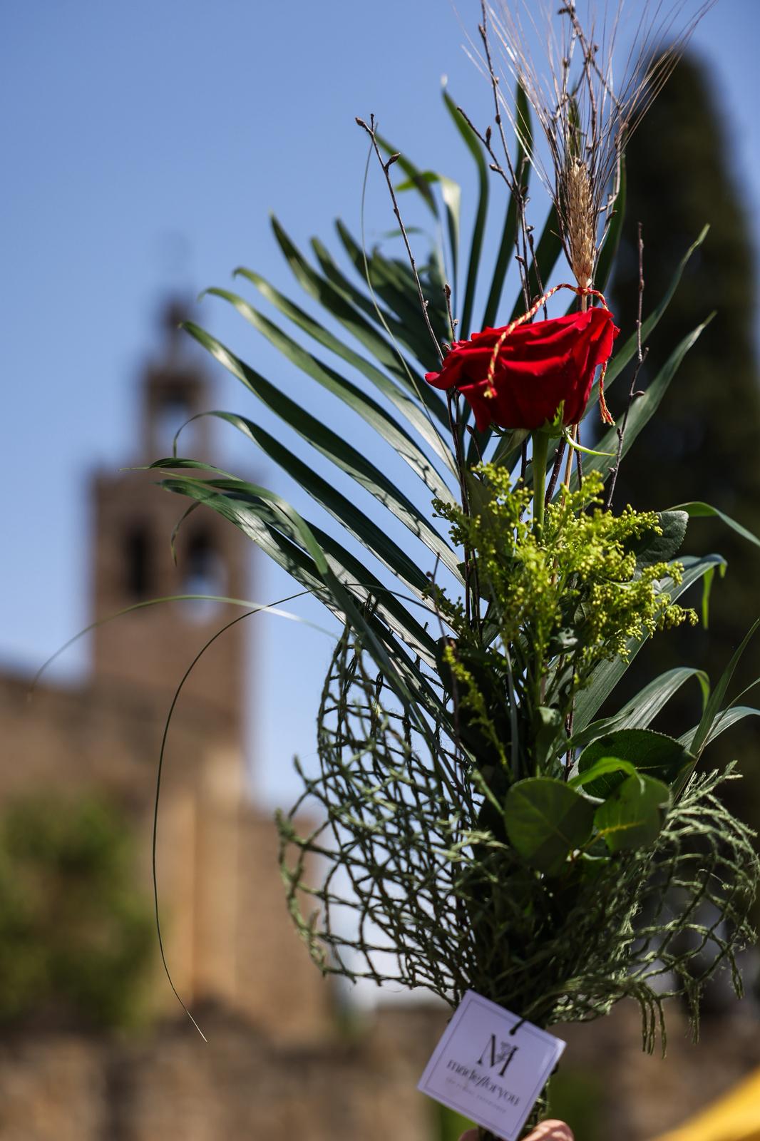 Sant Jordi 2026 a Sant Cugat. FOTO: Ajuntament