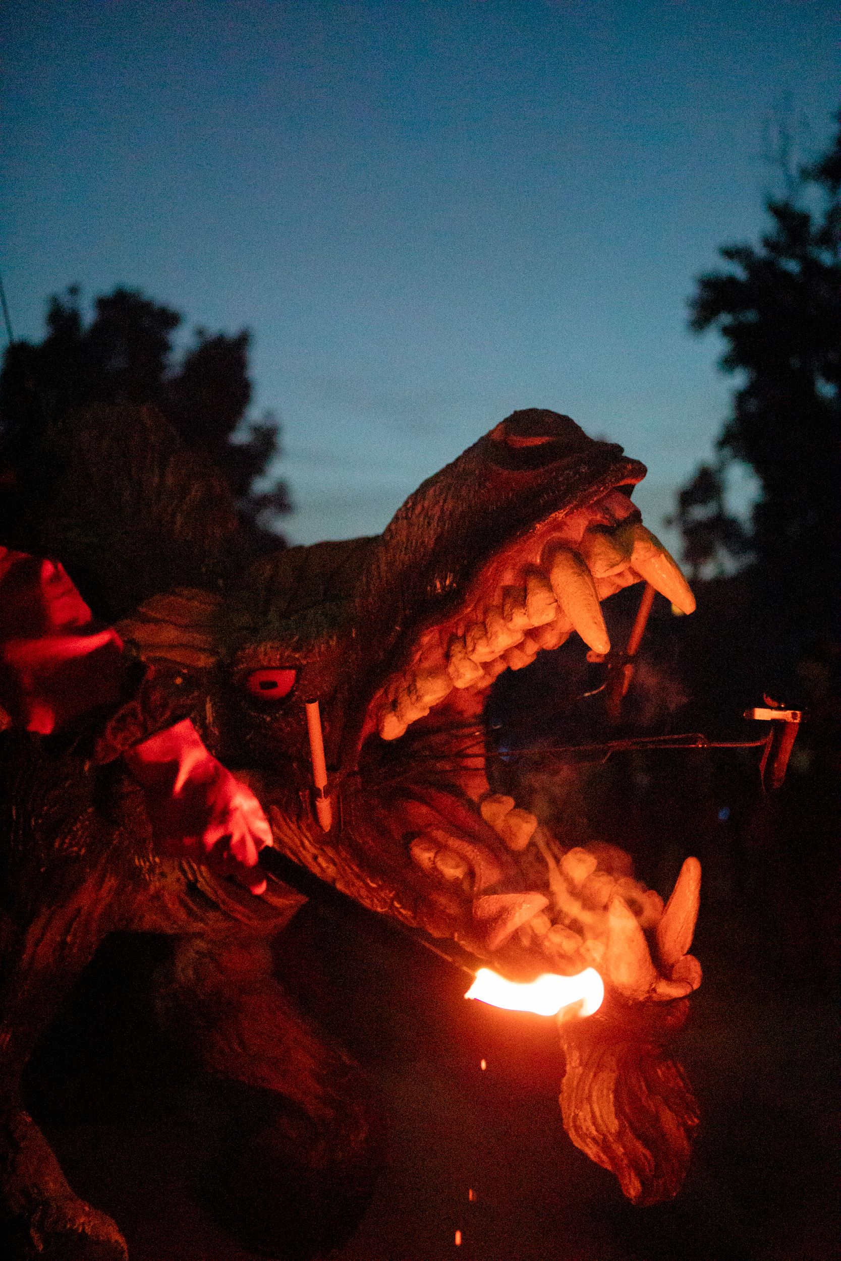 Despertar del Boc de Can Vernet. FOTO: Joana Arribas (TOT Sant Cugat)
