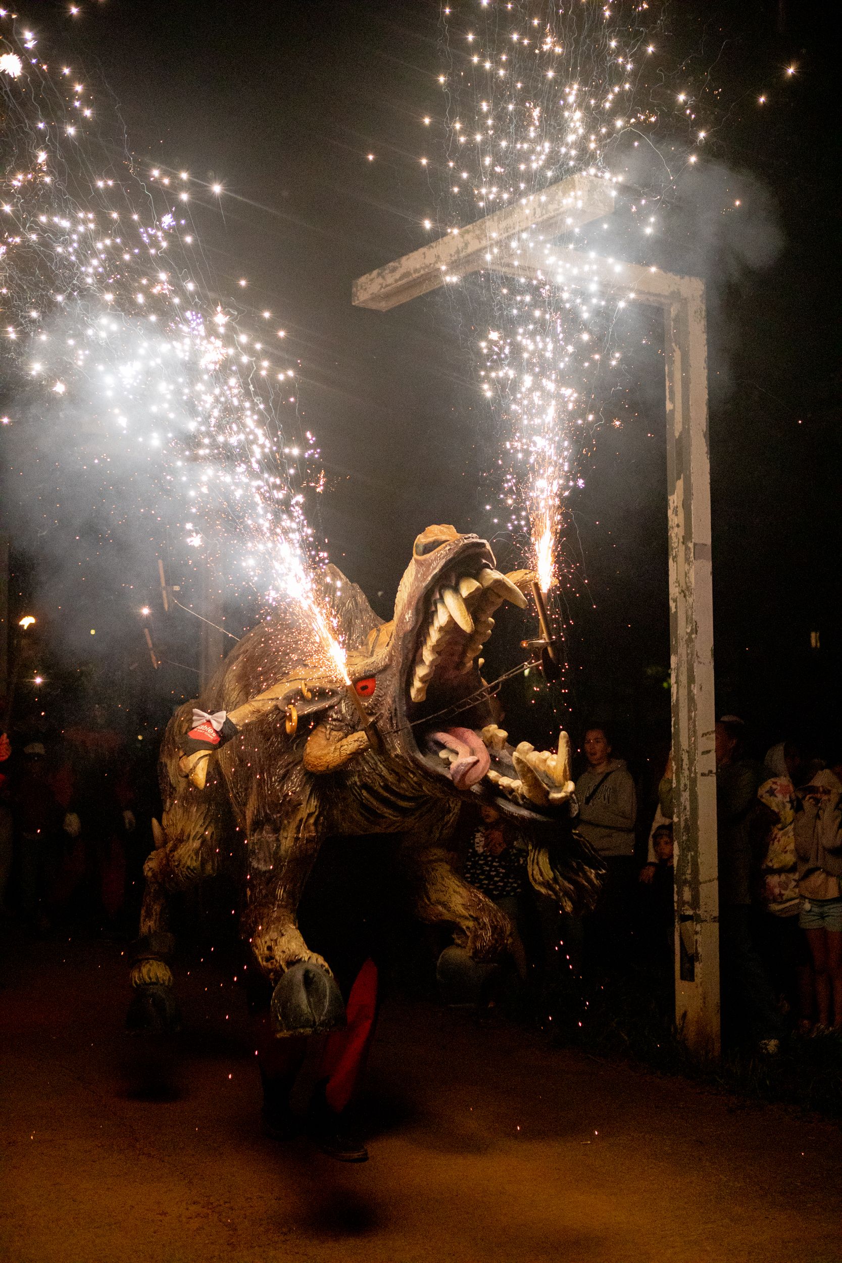 Despertar del Boc de Can Vernet. FOTO: Joana Arribas (TOT Sant Cugat)