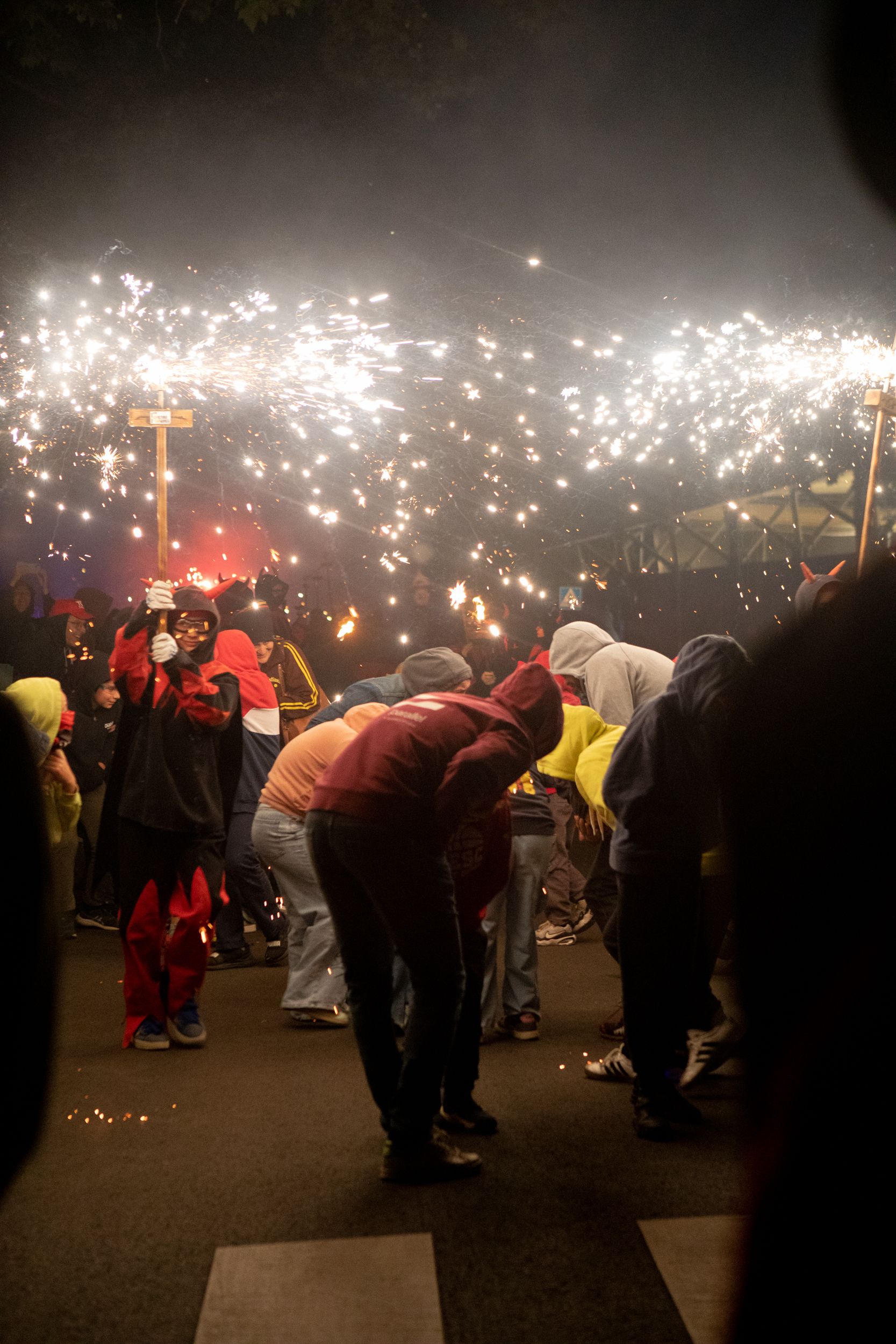 Despertar del Boc de Can Vernet. FOTO: Joana Arribas (TOT Sant Cugat)
