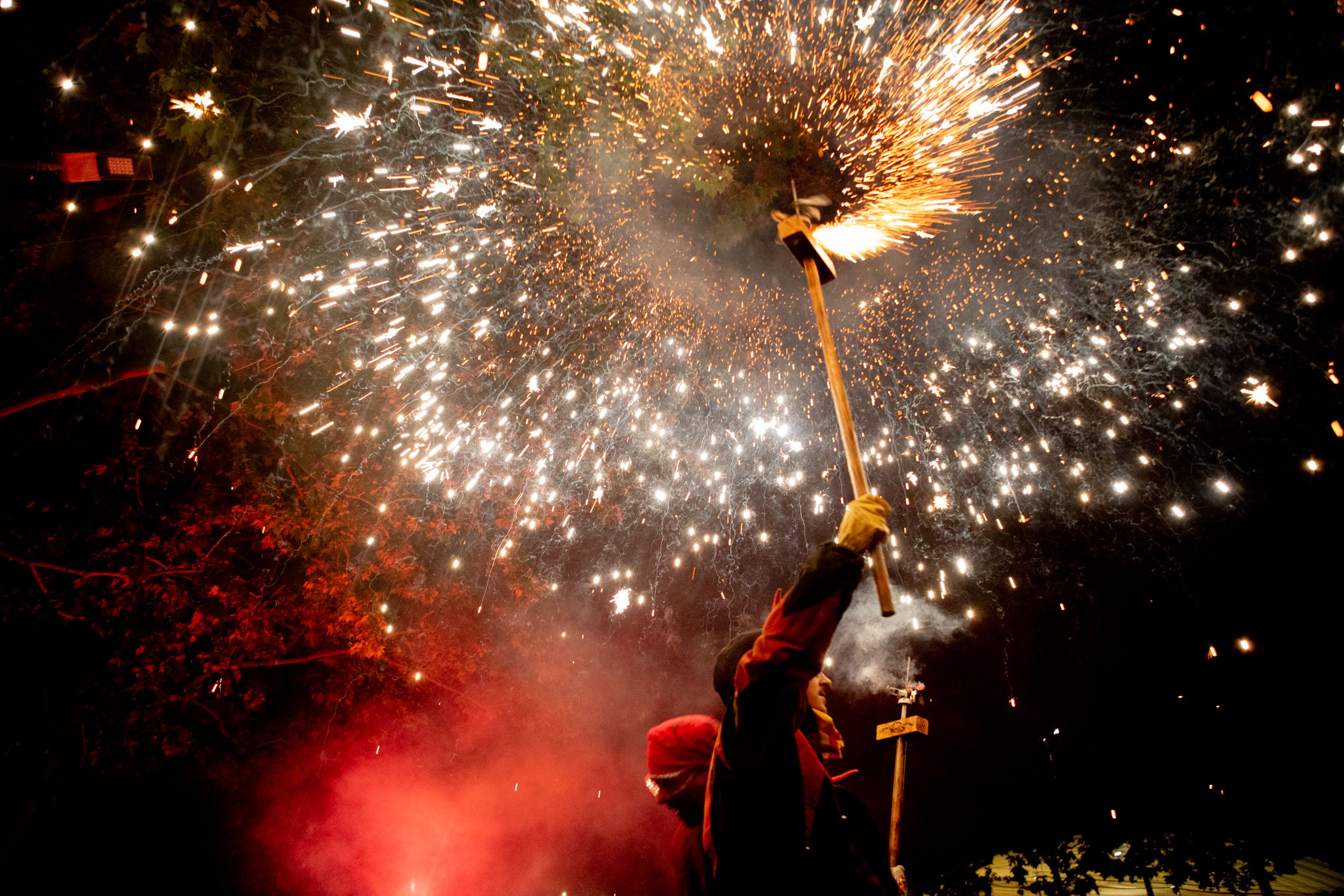 Despertar del Boc de Can Vernet. FOTO: Joana Arribas (TOT Sant Cugat)