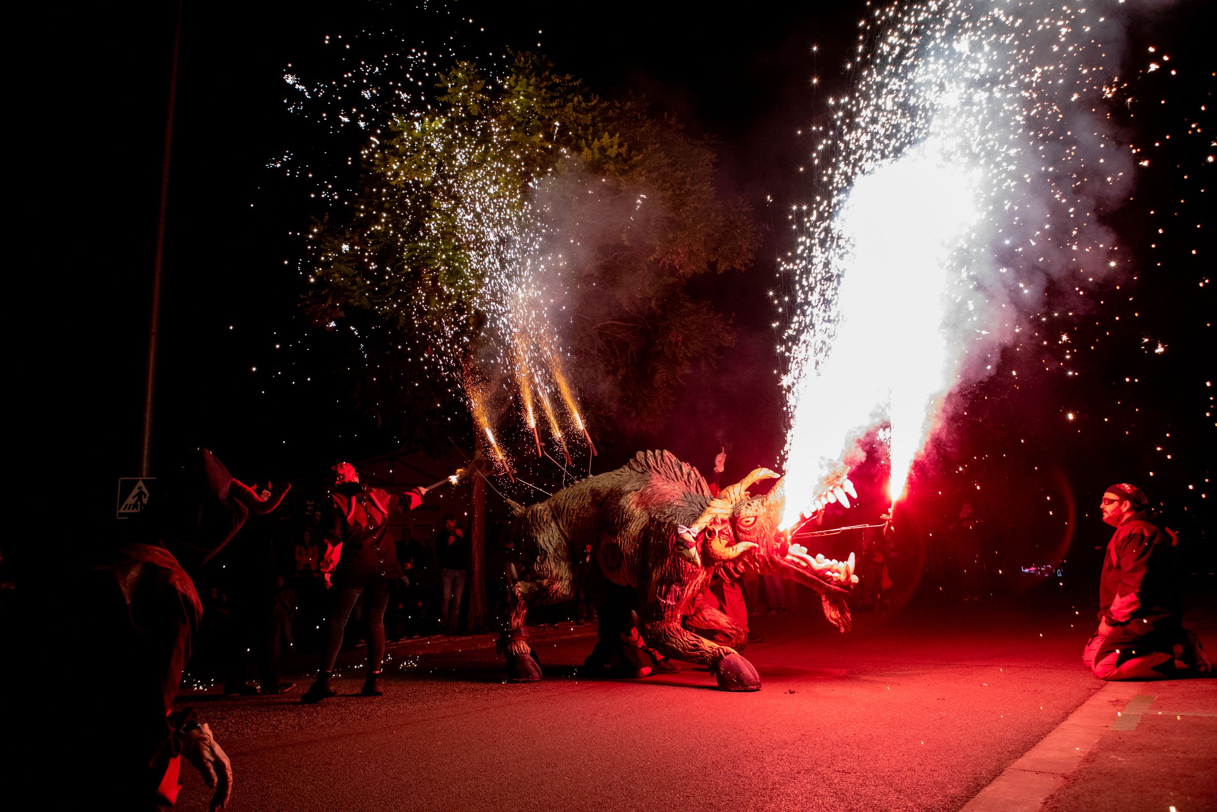 Despertar del Boc de Can Vernet. FOTO: Joana Arribas (TOT Sant Cugat)