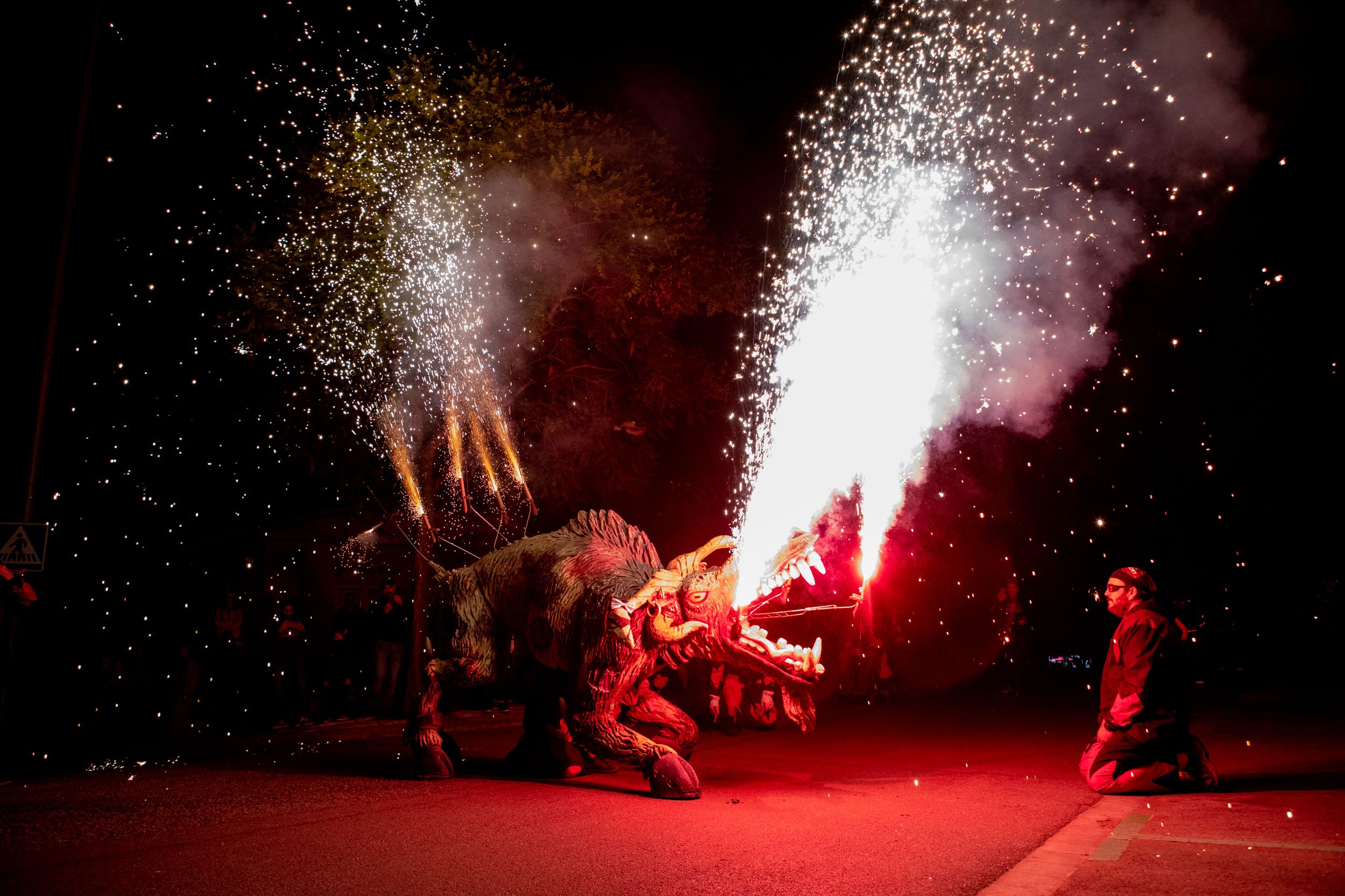 Despertar del Boc de Can Vernet. FOTO: Joana Arribas (TOT Sant Cugat)