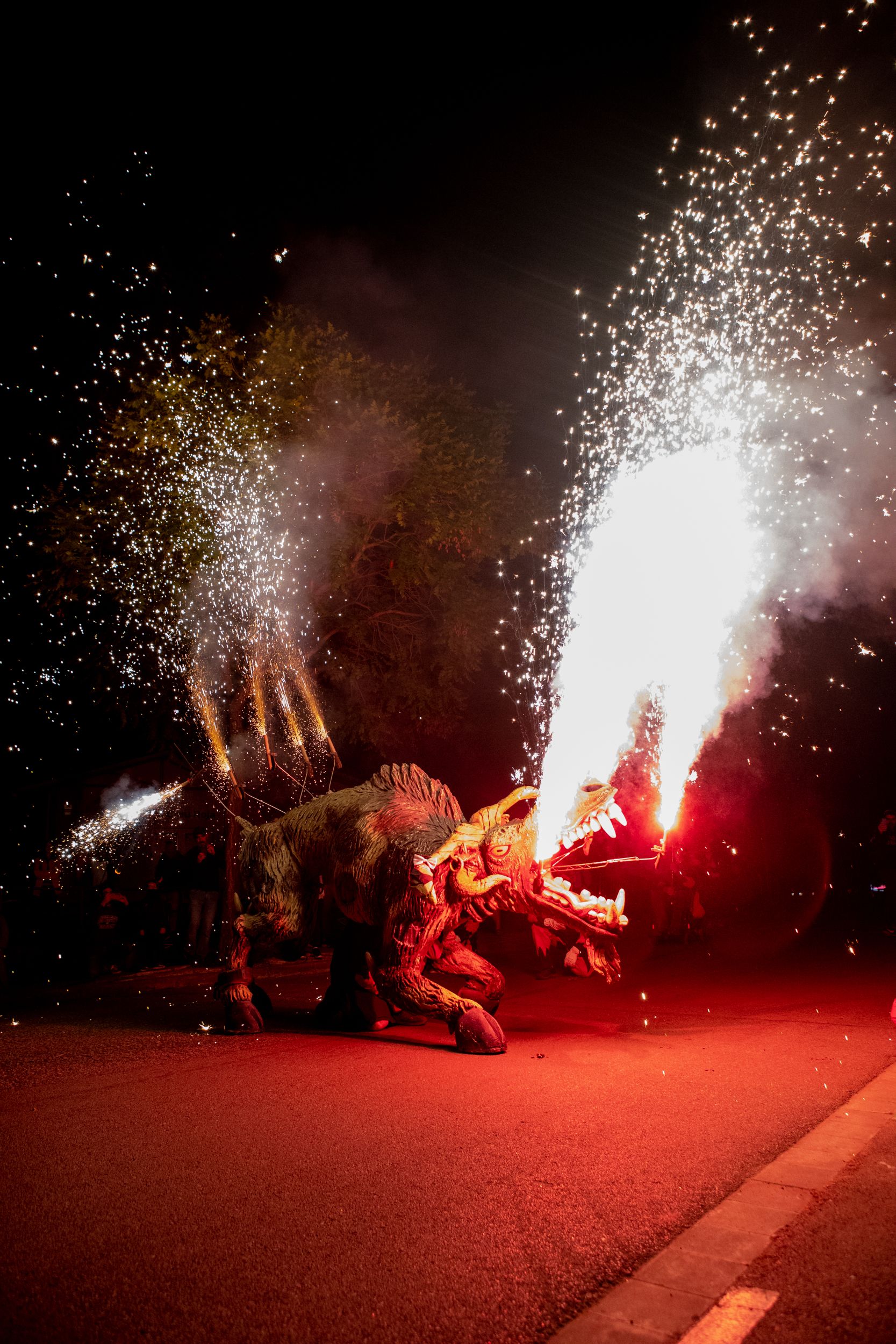 Despertar del Boc de Can Vernet. FOTO: Joana Arribas (TOT Sant Cugat)