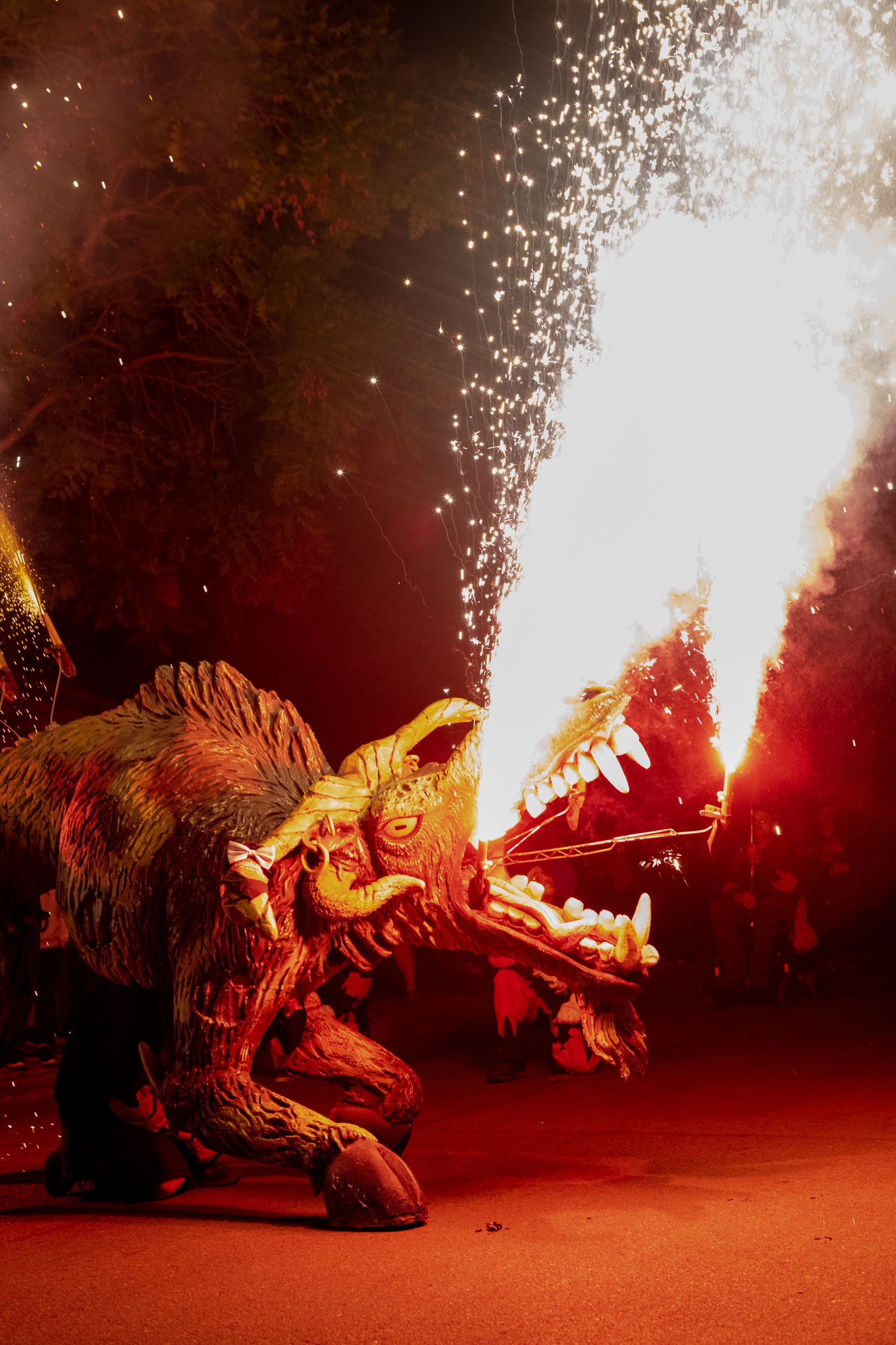 Despertar del Boc de Can Vernet. FOTO: Joana Arribas (TOT Sant Cugat)