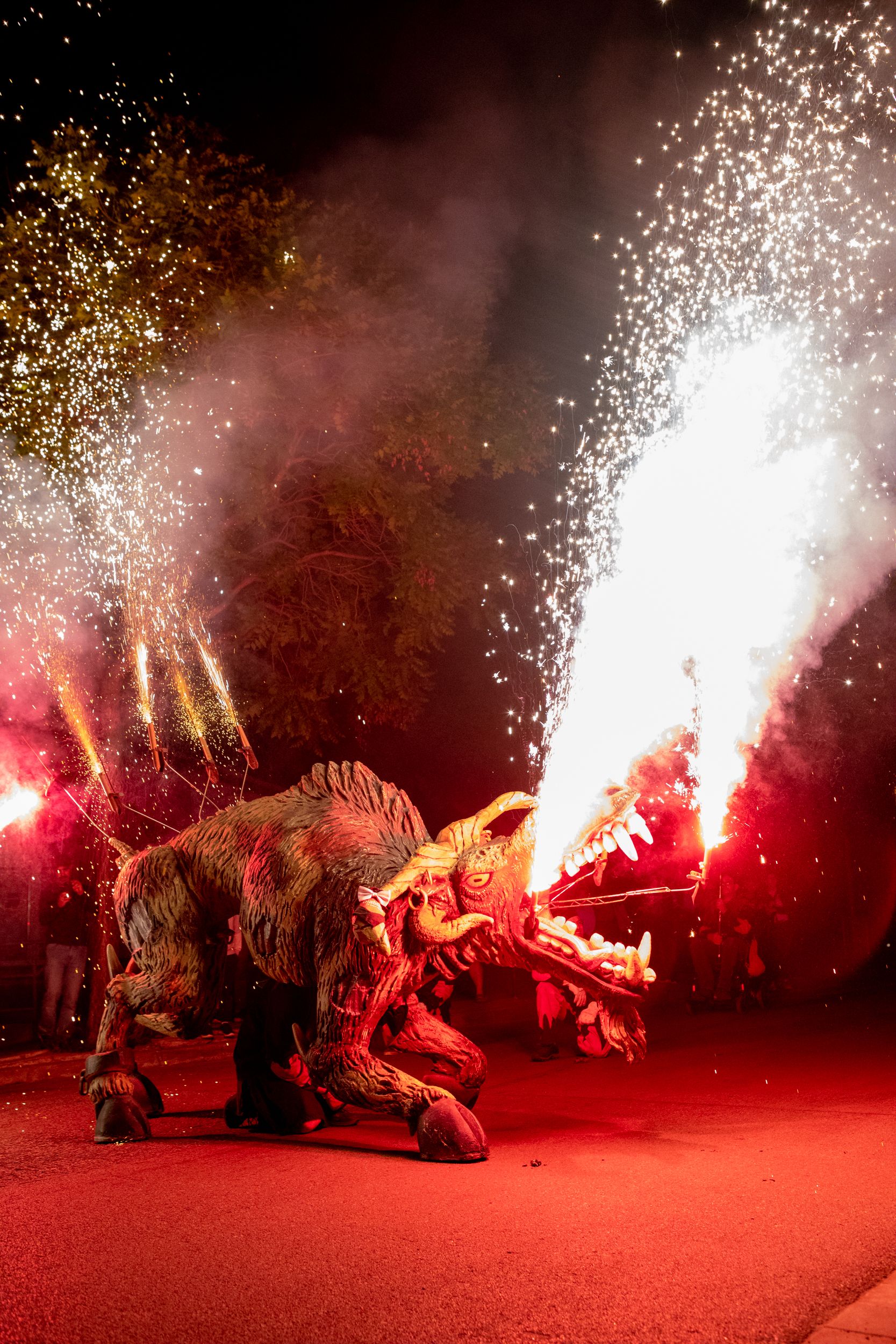 Despertar del Boc de Can Vernet. FOTO: Joana Arribas (TOT Sant Cugat)