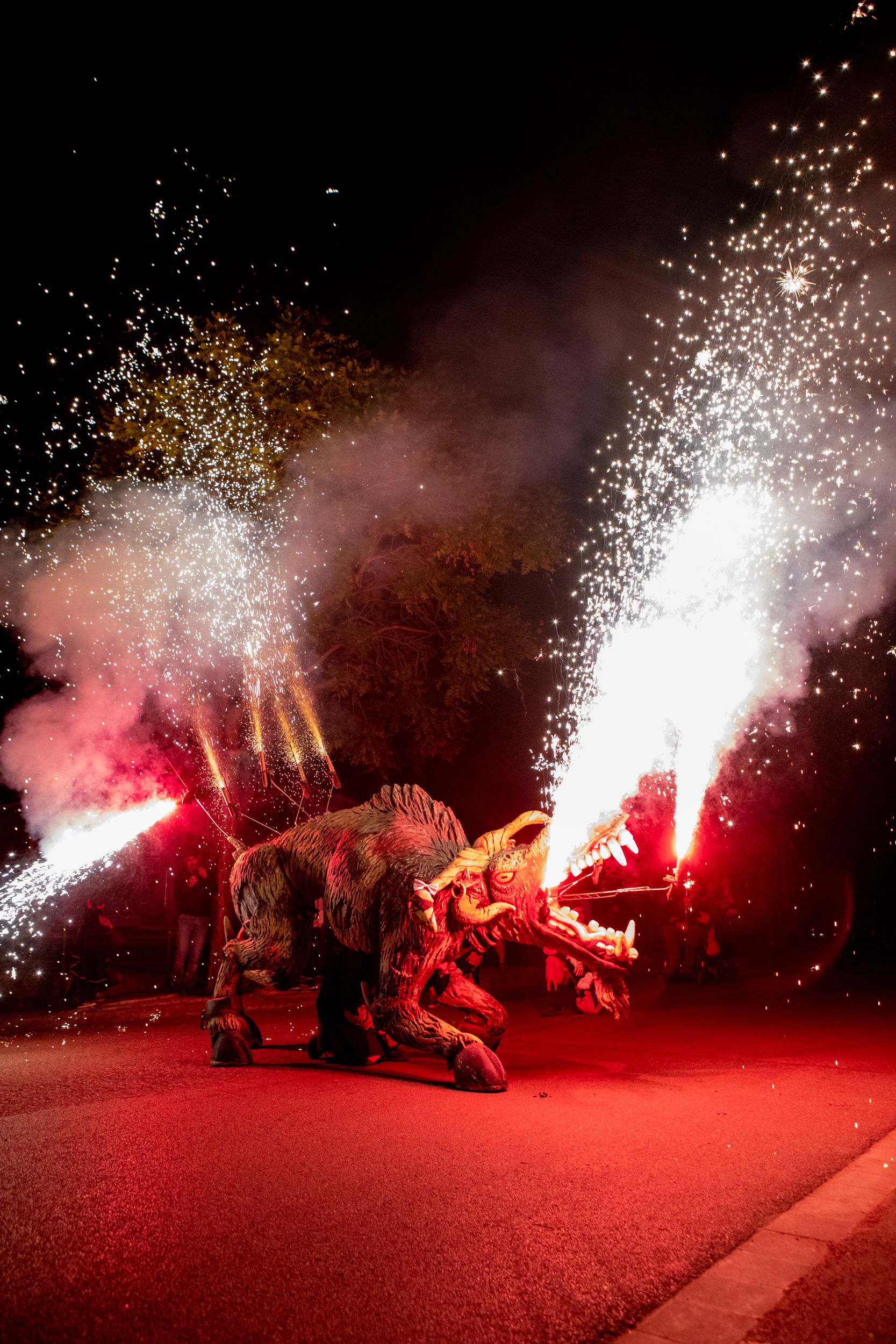 Despertar del Boc de Can Vernet. FOTO: Joana Arribas (TOT Sant Cugat)