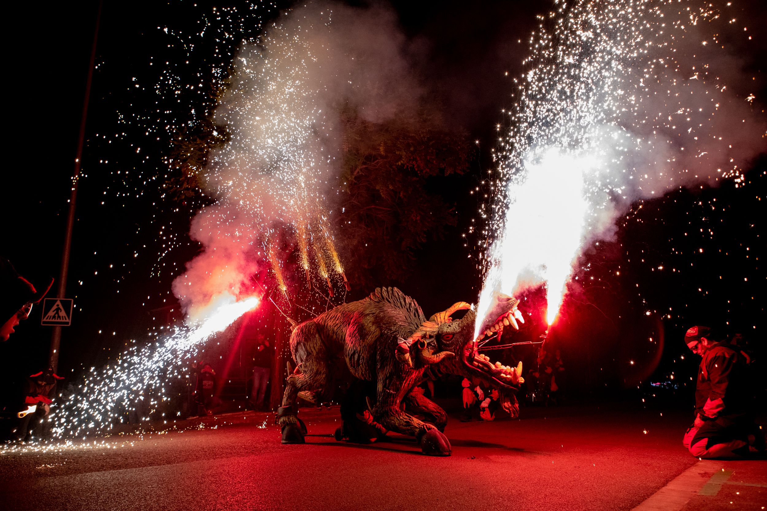 Despertar del Boc de Can Vernet. FOTO: Joana Arribas (TOT Sant Cugat)