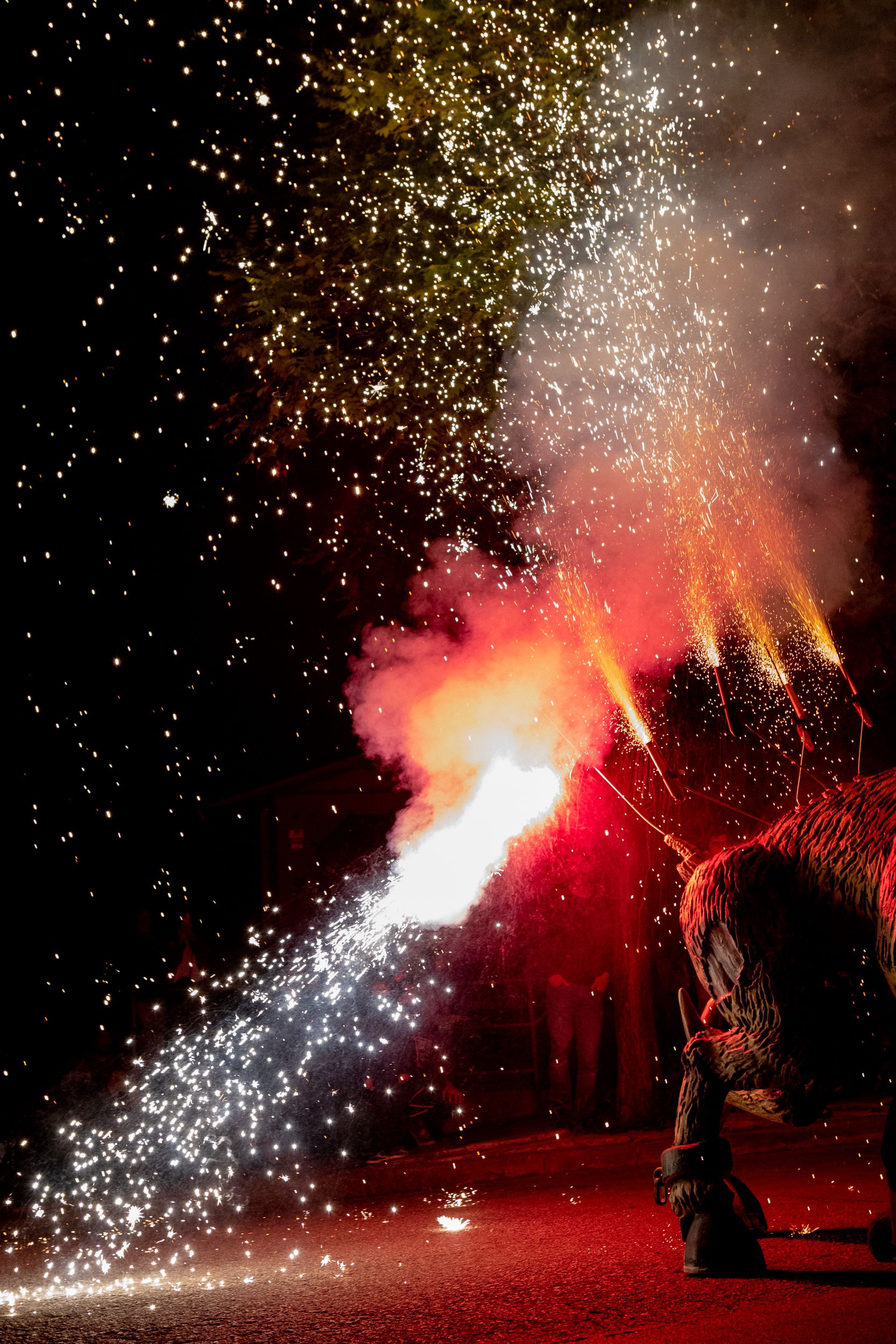 Despertar del Boc de Can Vernet. FOTO: Joana Arribas (TOT Sant Cugat)