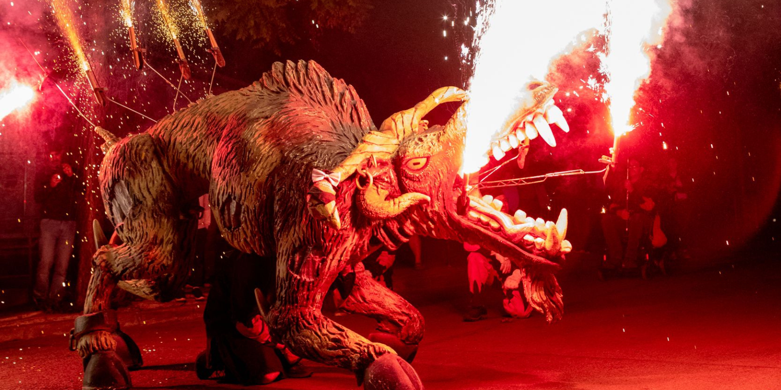 Despertar del Boc de Can Vernet. FOTO: Joana Arribas (TOT Sant Cugat)