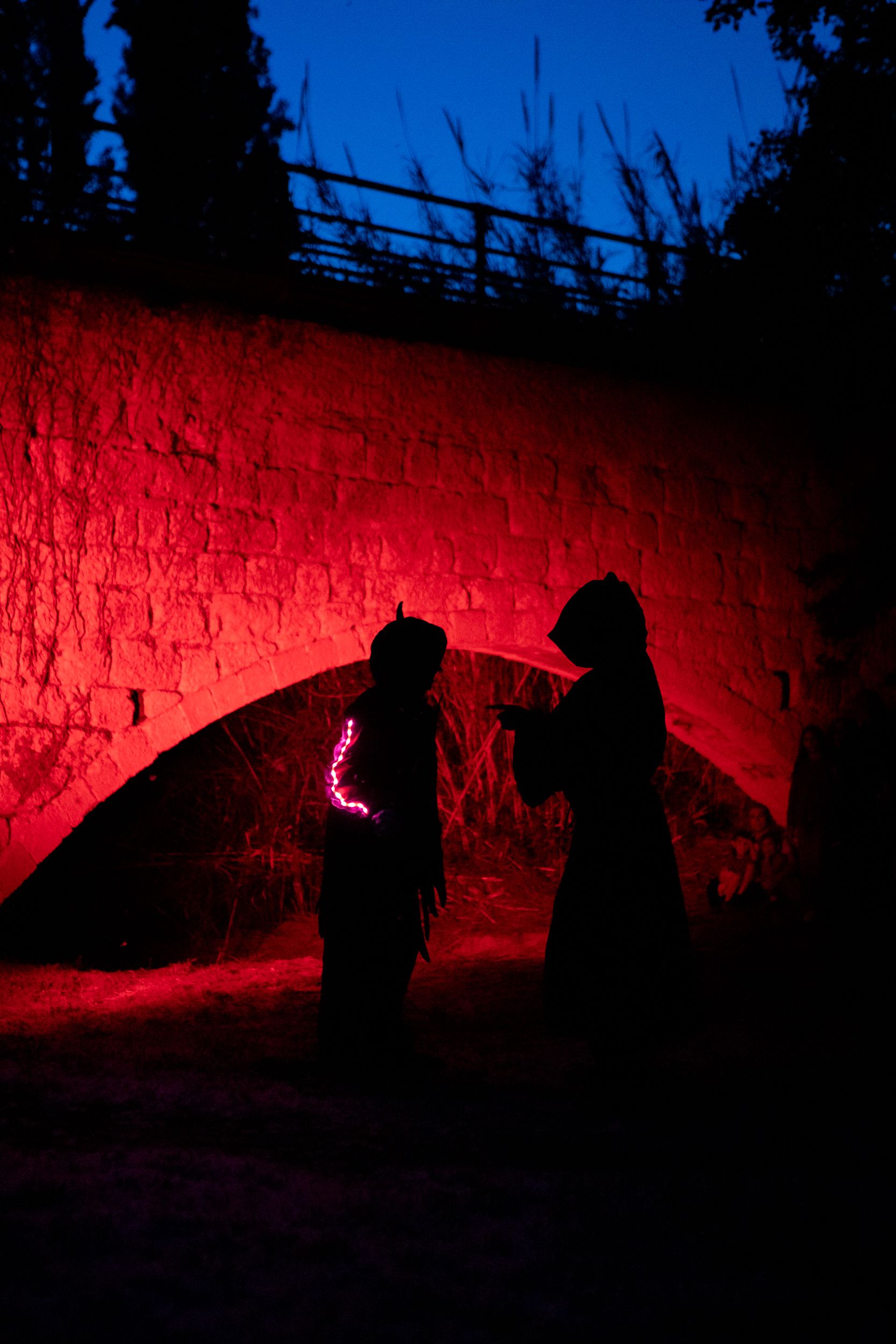 Despertar del Boc de Can Vernet. FOTO: Joana Arribas (TOT Sant Cugat)