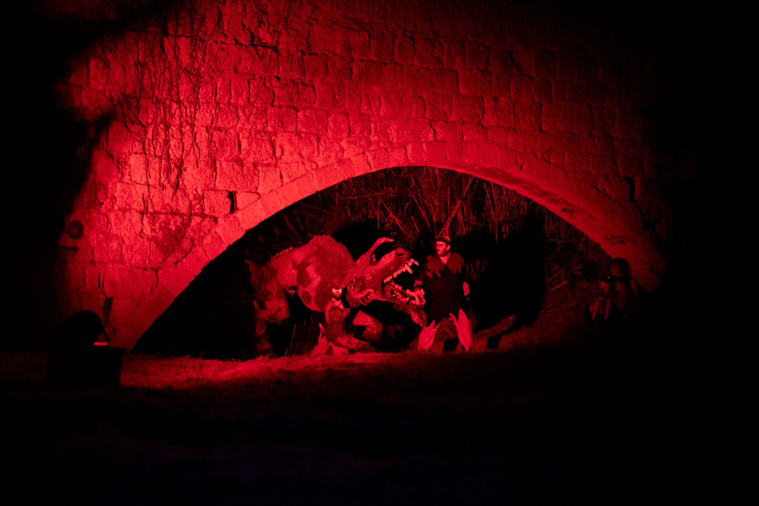 Despertar del Boc de Can Vernet. FOTO: Joana Arribas (TOT Sant Cugat)