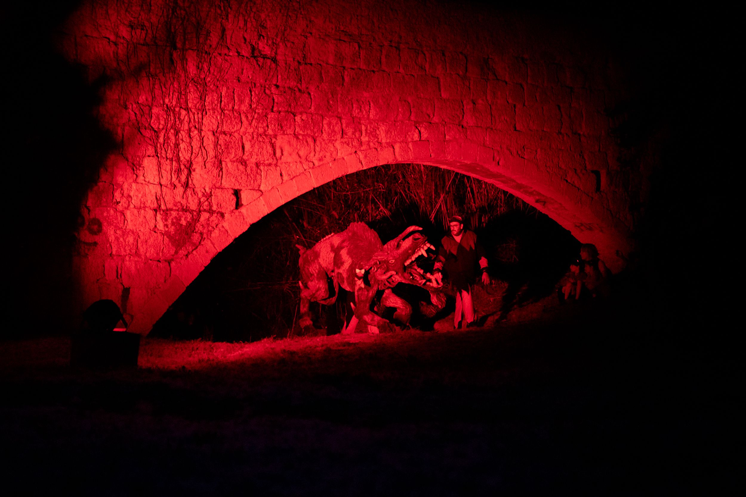 Despertar del Boc de Can Vernet. FOTO: Joana Arribas (TOT Sant Cugat)